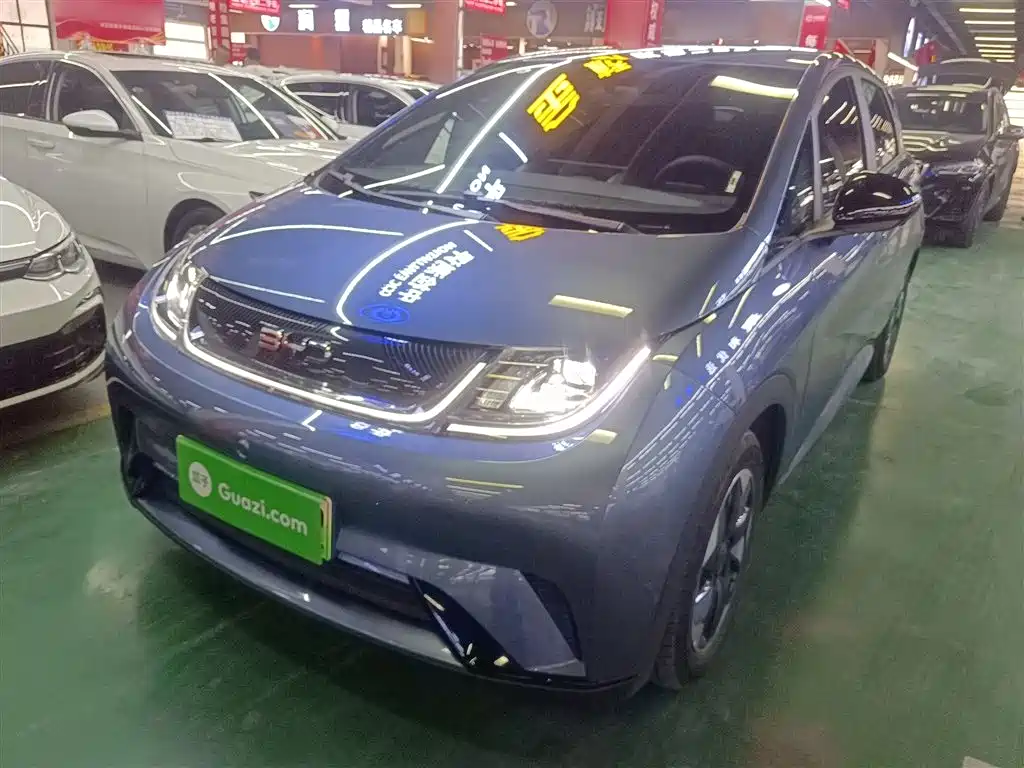 Byd Dolphin 2025
