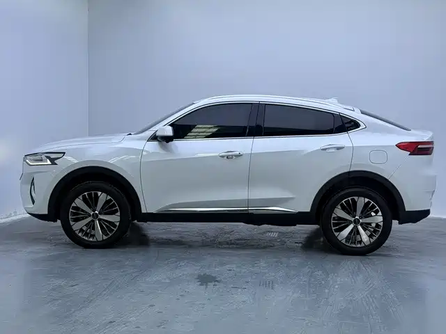 Haval F7x — миниатюра 11