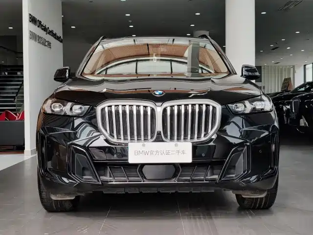 BMW X5 — миниатюра 2