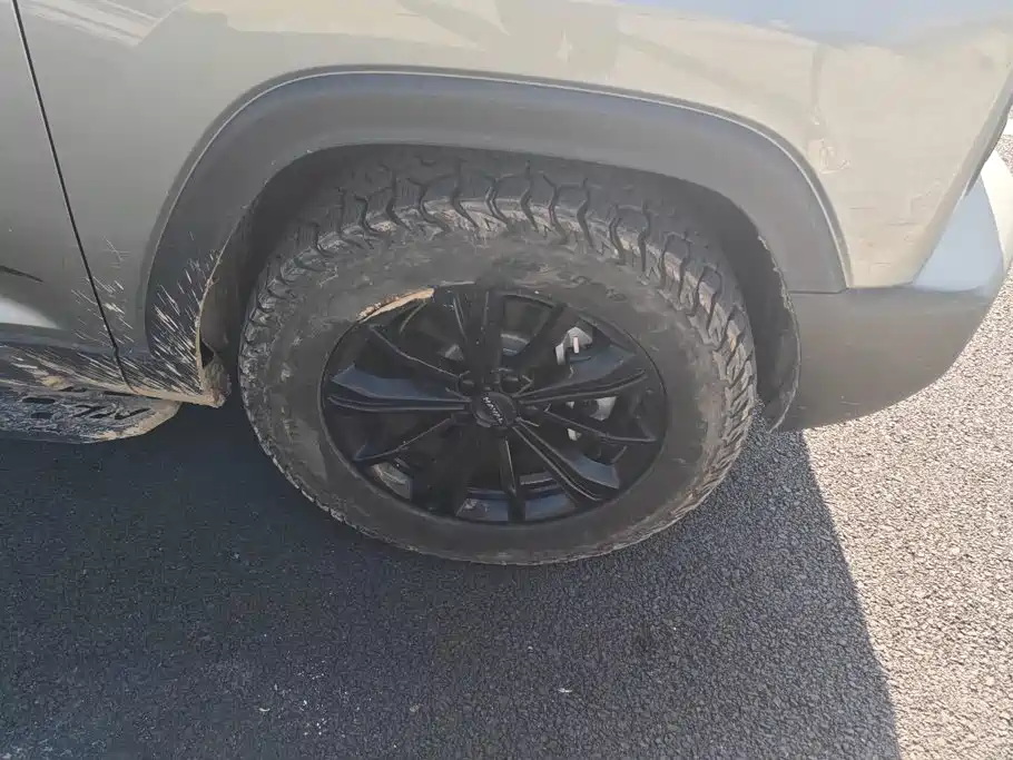 Haval Menglong New Energy — миниатюра 6