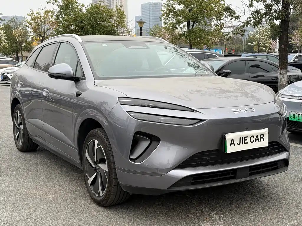 BYD SEA LION 06 NEW ENERGY