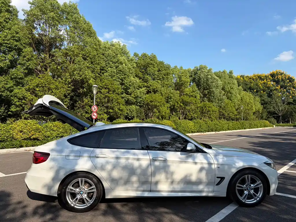 BMW 3 Series GT — миниатюра 12