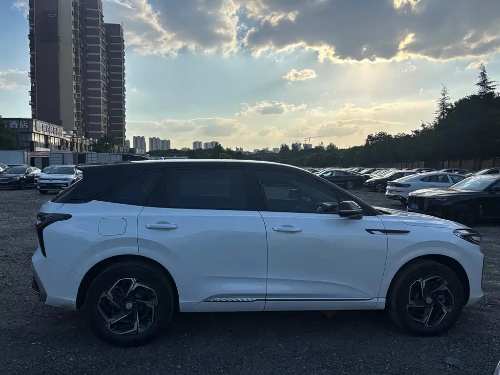 Hongqi Hongqi HS3 — миниатюра 4