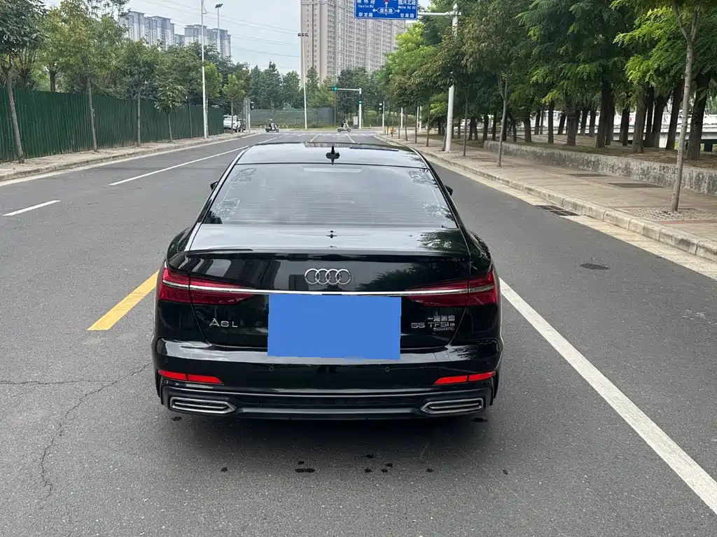 Audi A6L New Energy — миниатюра 8