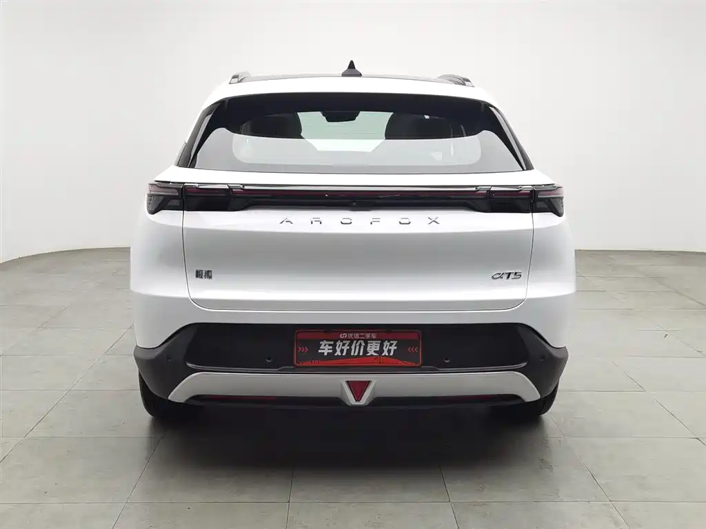 ARCFOX EXTREME FOX POLAR FOX ALPHA T5