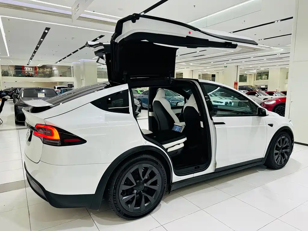 Tesla Model X — миниатюра 23