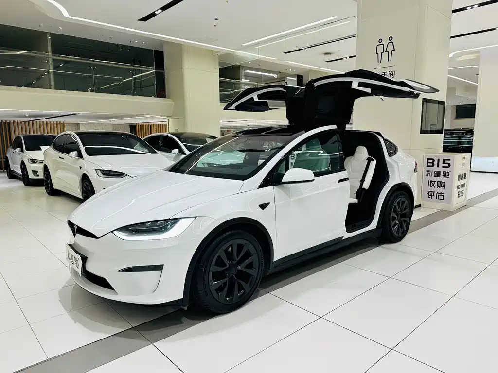 Tesla Model X — миниатюра 26