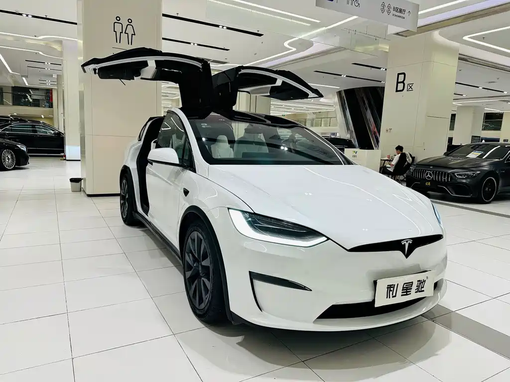 Tesla Model X — миниатюра 2