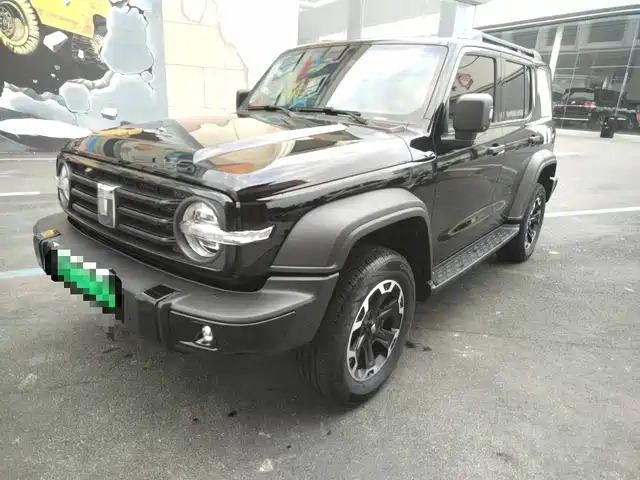 2025 TANK 300