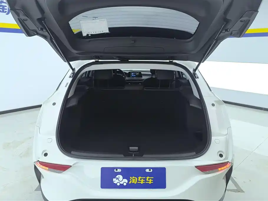 BUICK SLIGHTLY BLUE 6