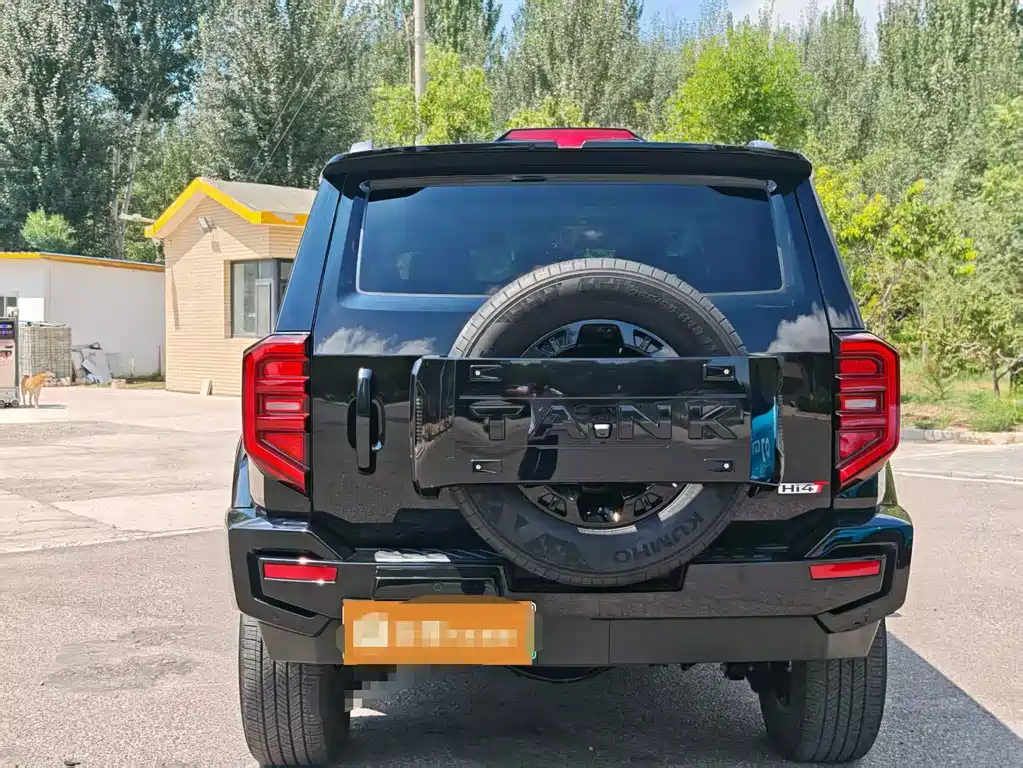 Tank 400 New Energy Hi4-T Offroad Edition, фото 8