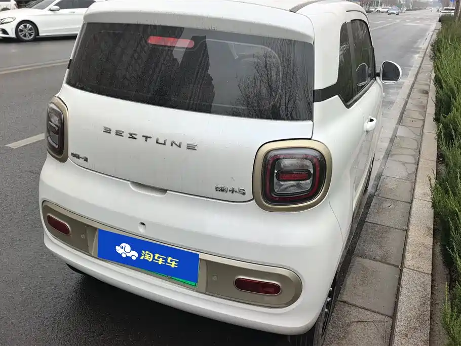 BESTUNE PENTIUM PONY