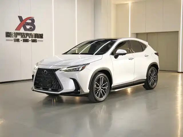 LEXUS NX 2021
