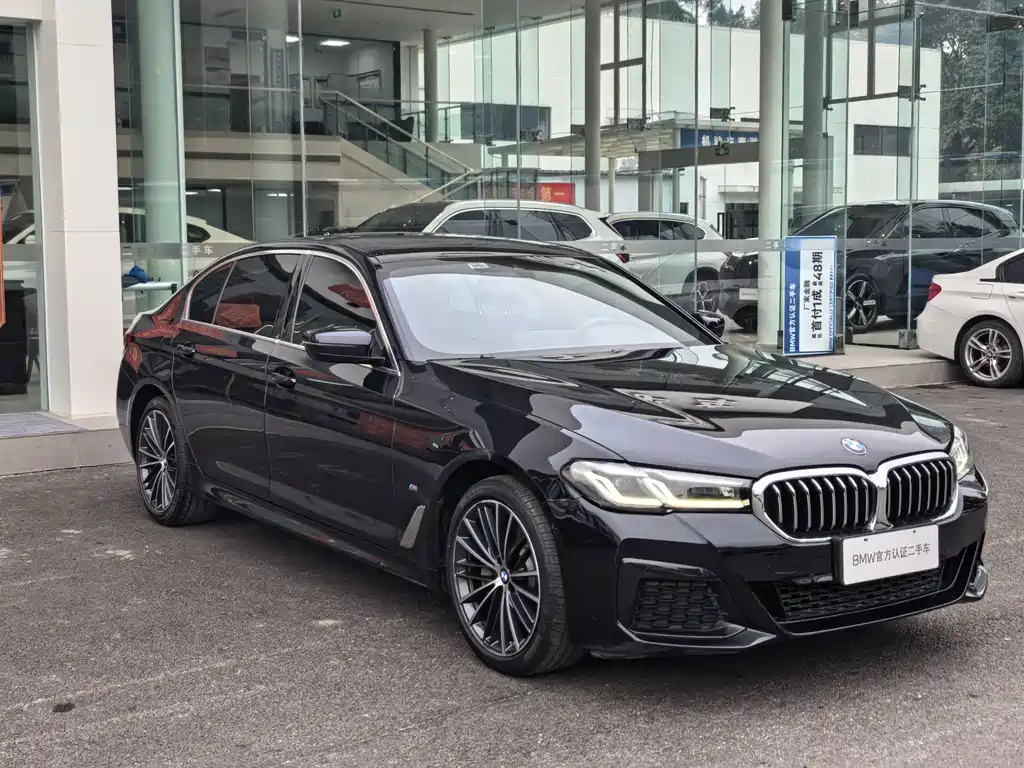 BMW 5 SERIES