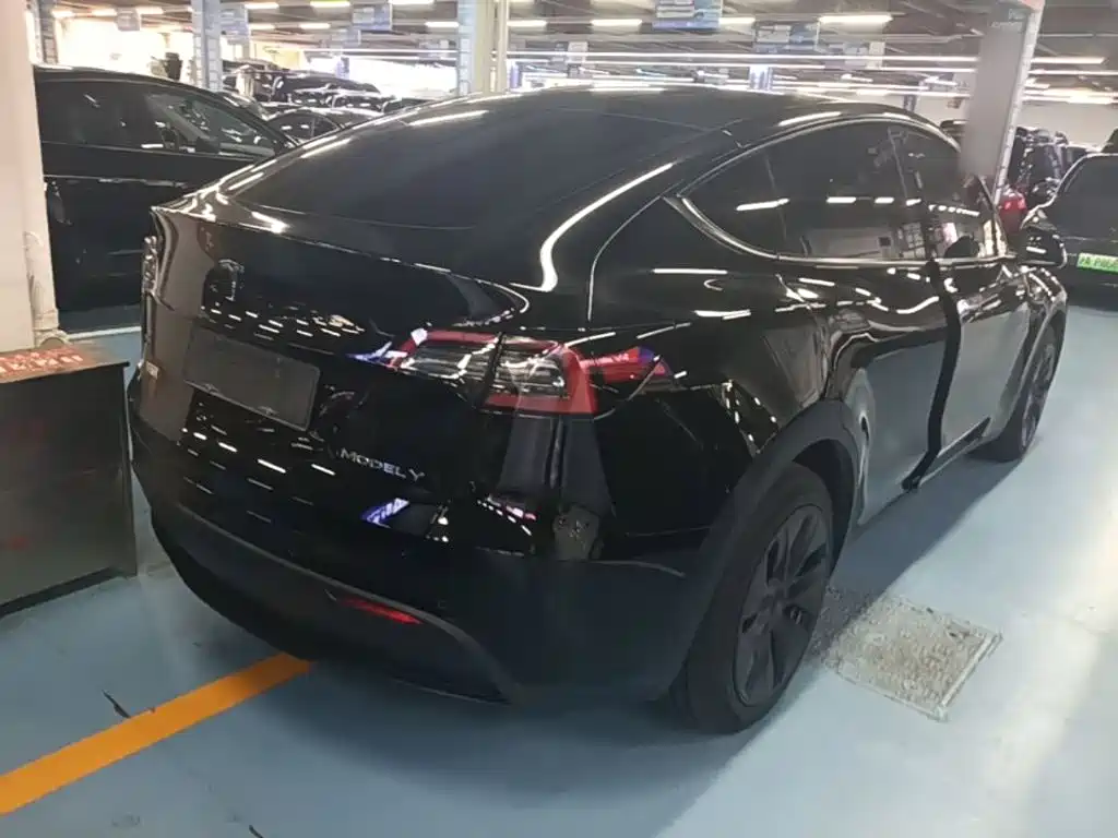 Tesla Model Y — миниатюра 7