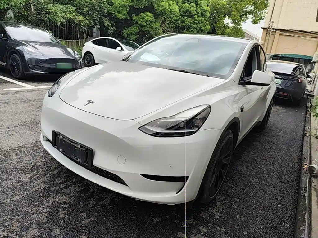 Tesla Model Y — миниатюра 2