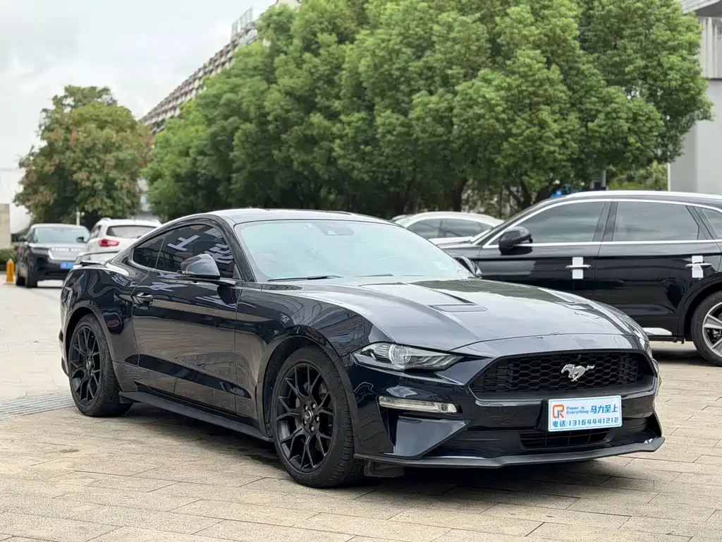 Ford Mustang — миниатюра 3