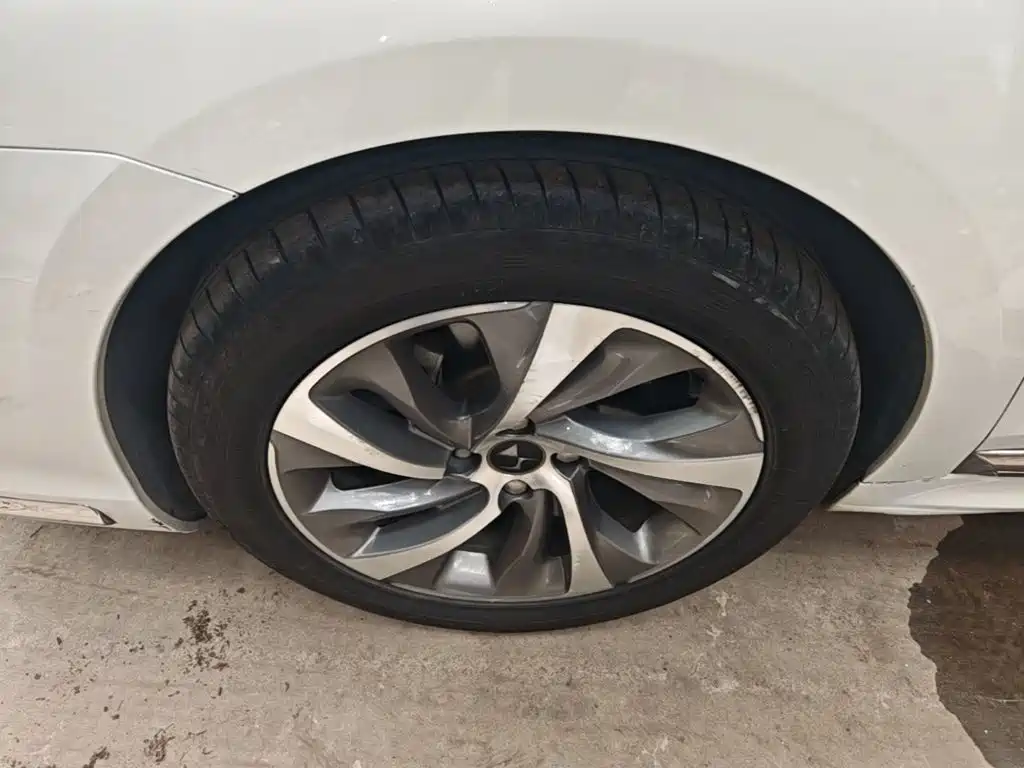 DS DS 5LS — миниатюра 23