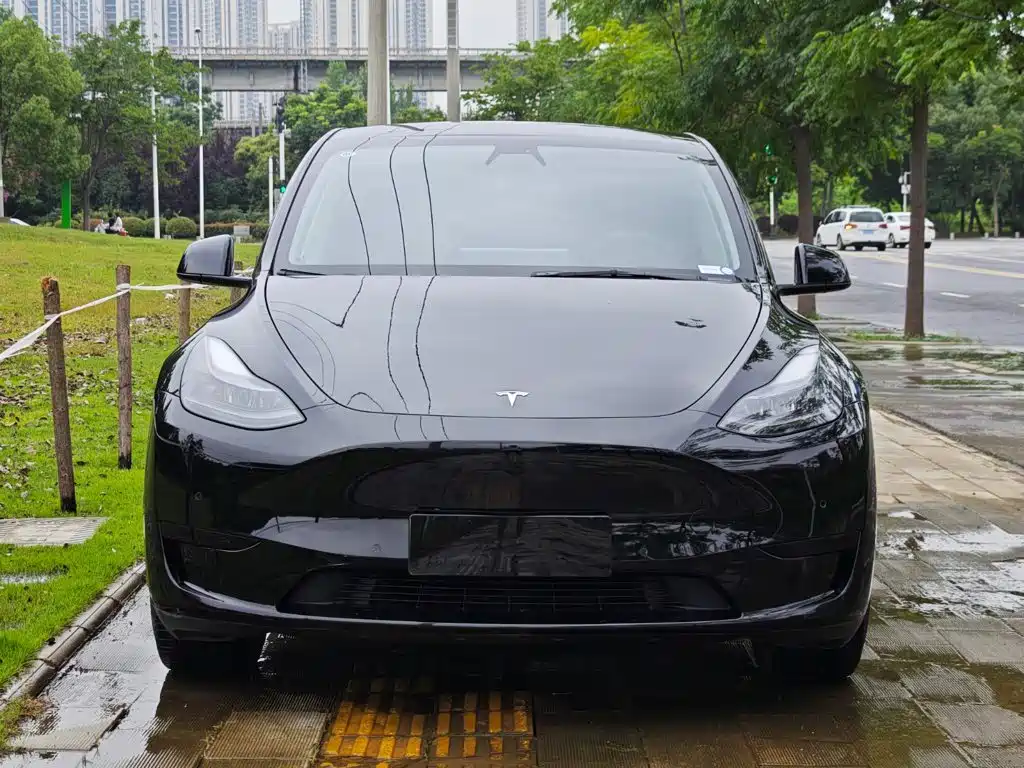 Tesla Model Y — миниатюра 5