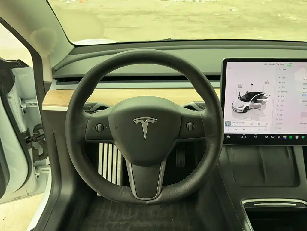 Tesla Model 3 — миниатюра 5