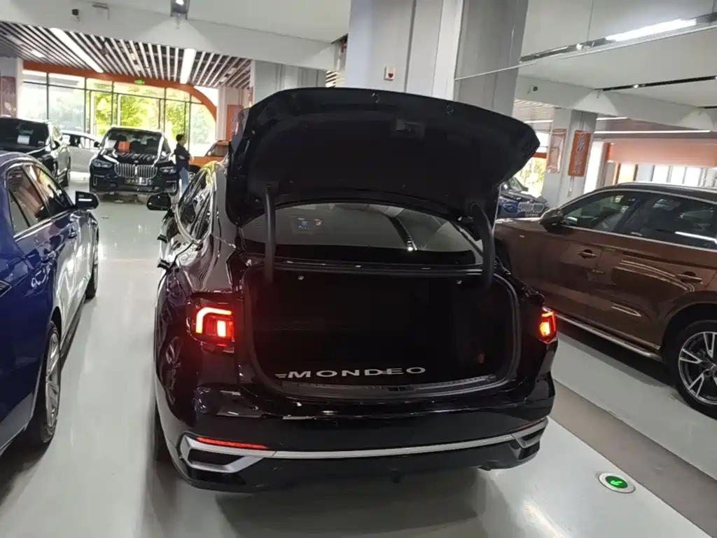 Ford Mondeo — миниатюра 19