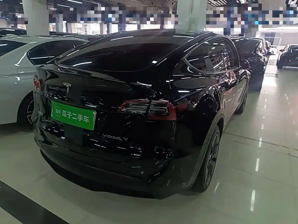 Tesla Model Y — миниатюра 7