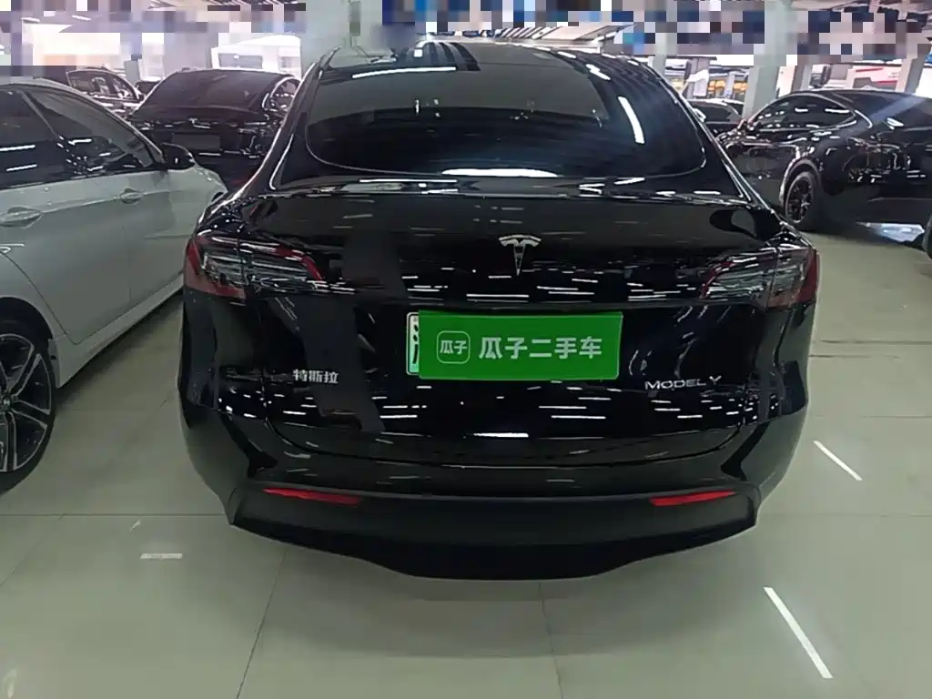 Tesla Model Y — миниатюра 6