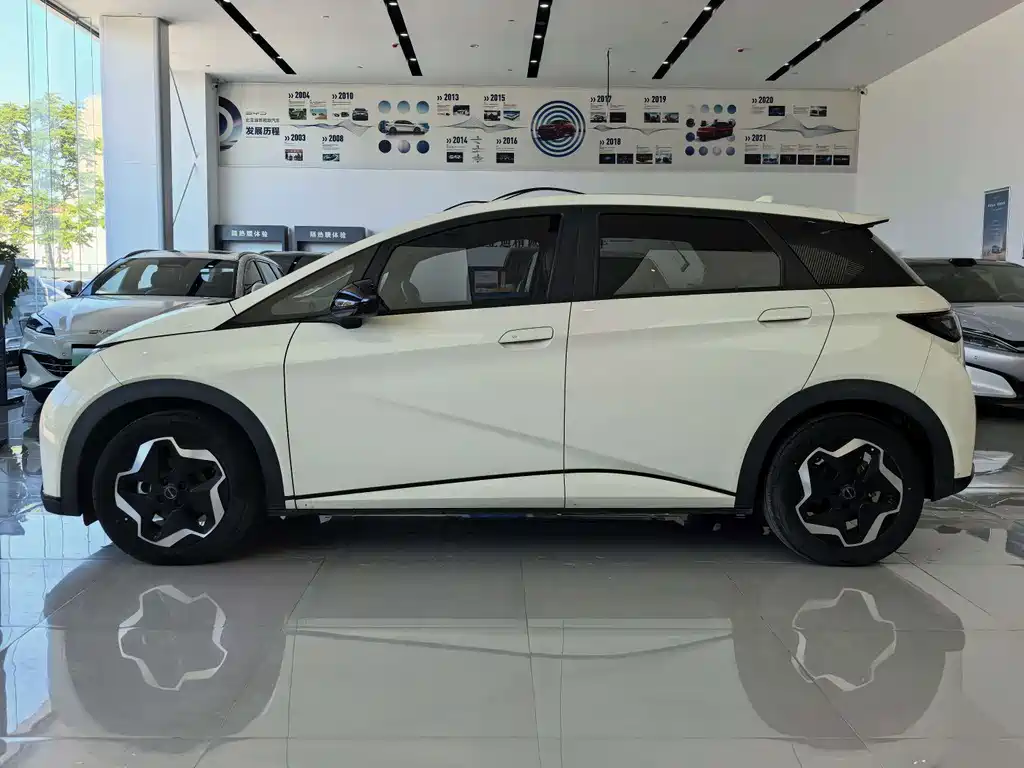 BYD Dolphin — миниатюра 8