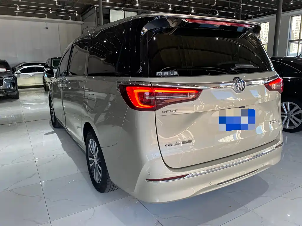 Buick GL8 — миниатюра 5
