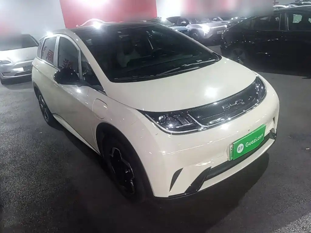 BYD Dolphin — миниатюра 4