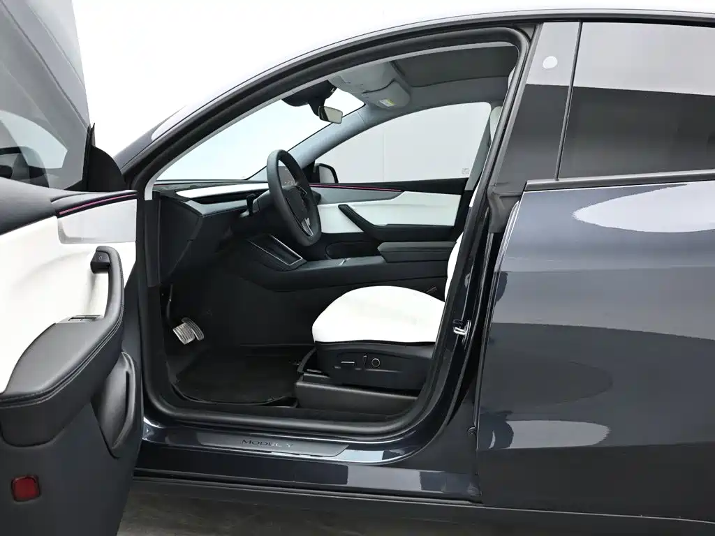 Tesla Model Y — миниатюра 11