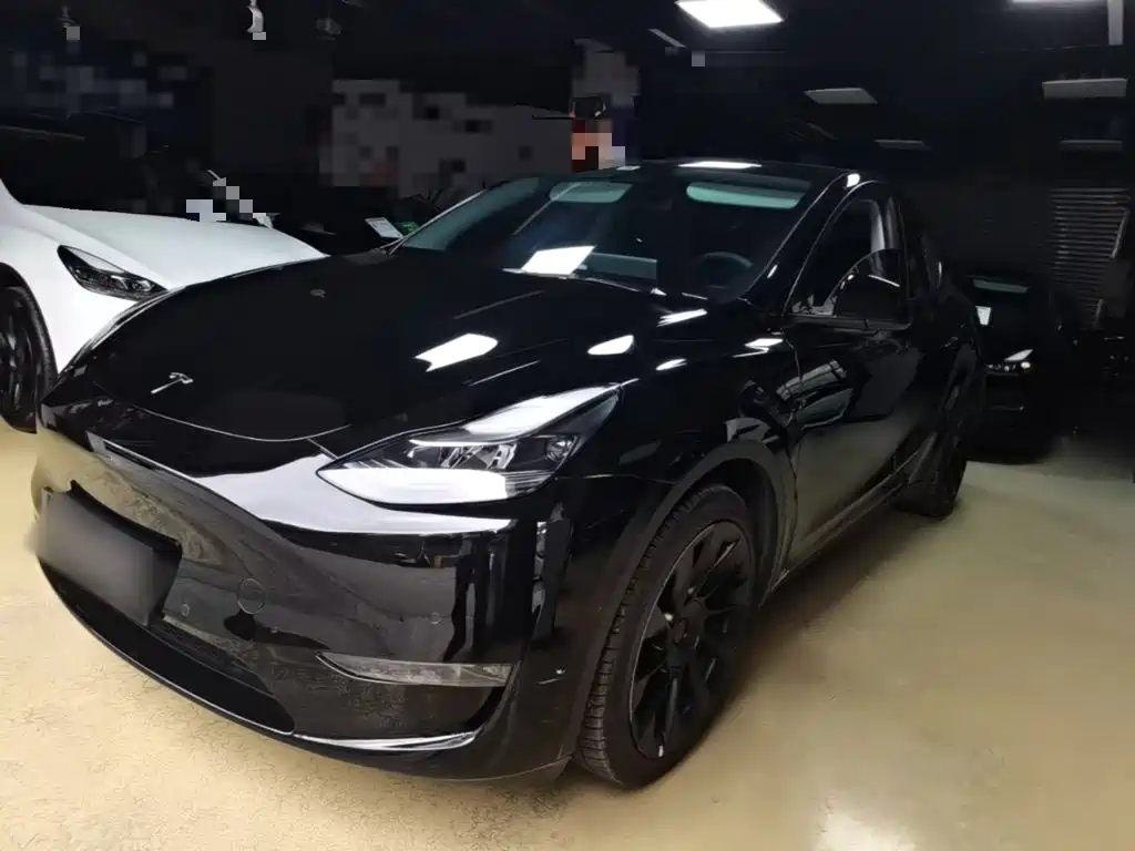 Tesla Model Y — миниатюра 2