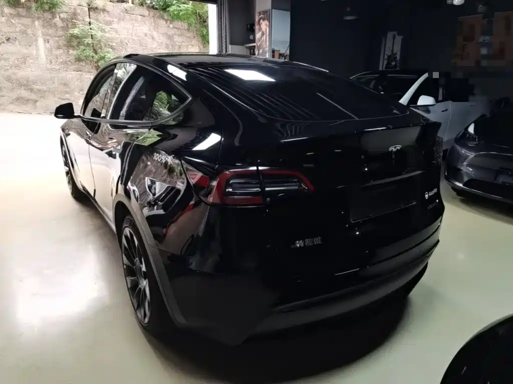 Tesla Model Y — миниатюра 5
