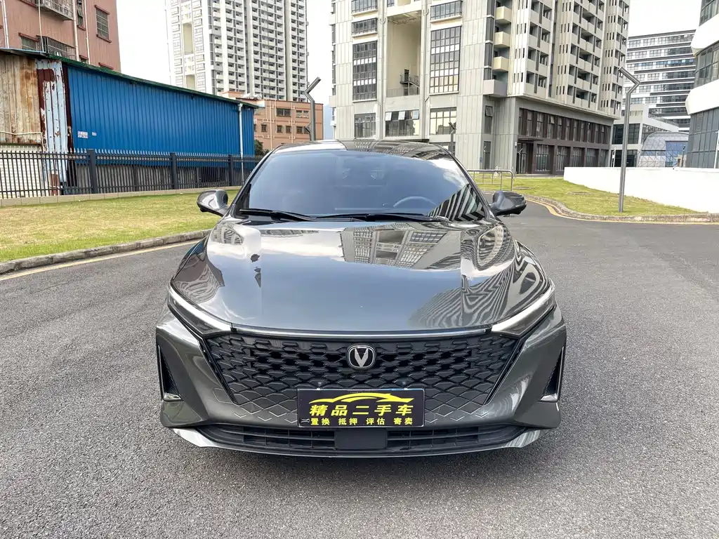 Changan Ruicheng PLUS 1.5T DCT Premium Type, фото 3