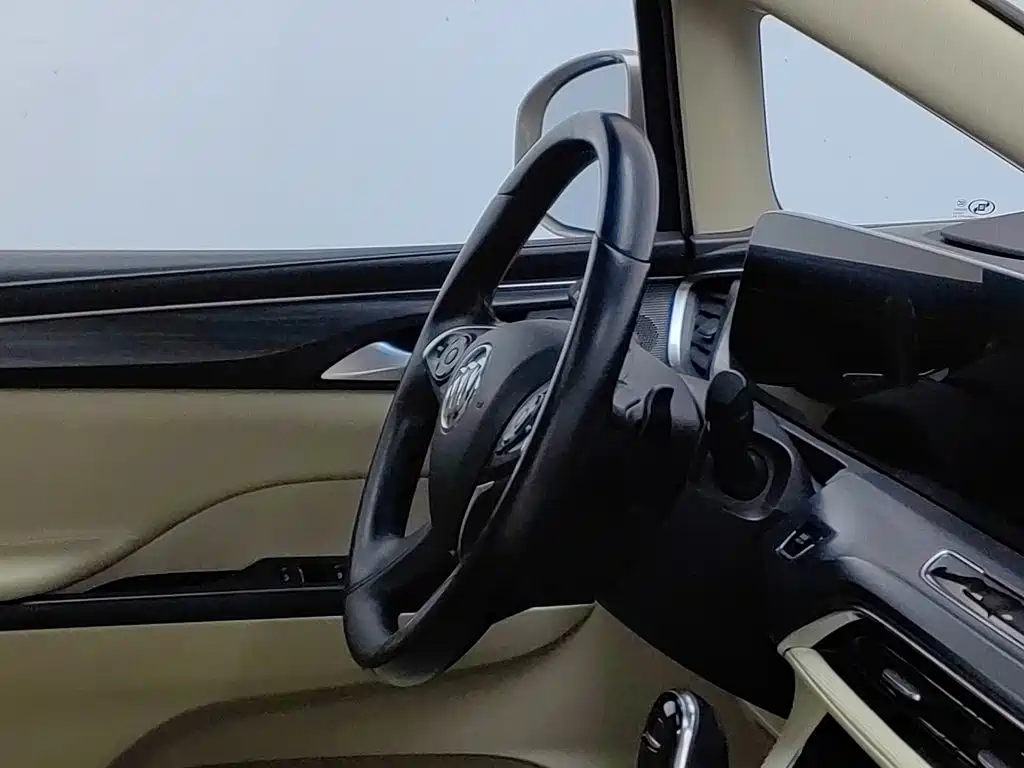 Buick GL8 — миниатюра 22
