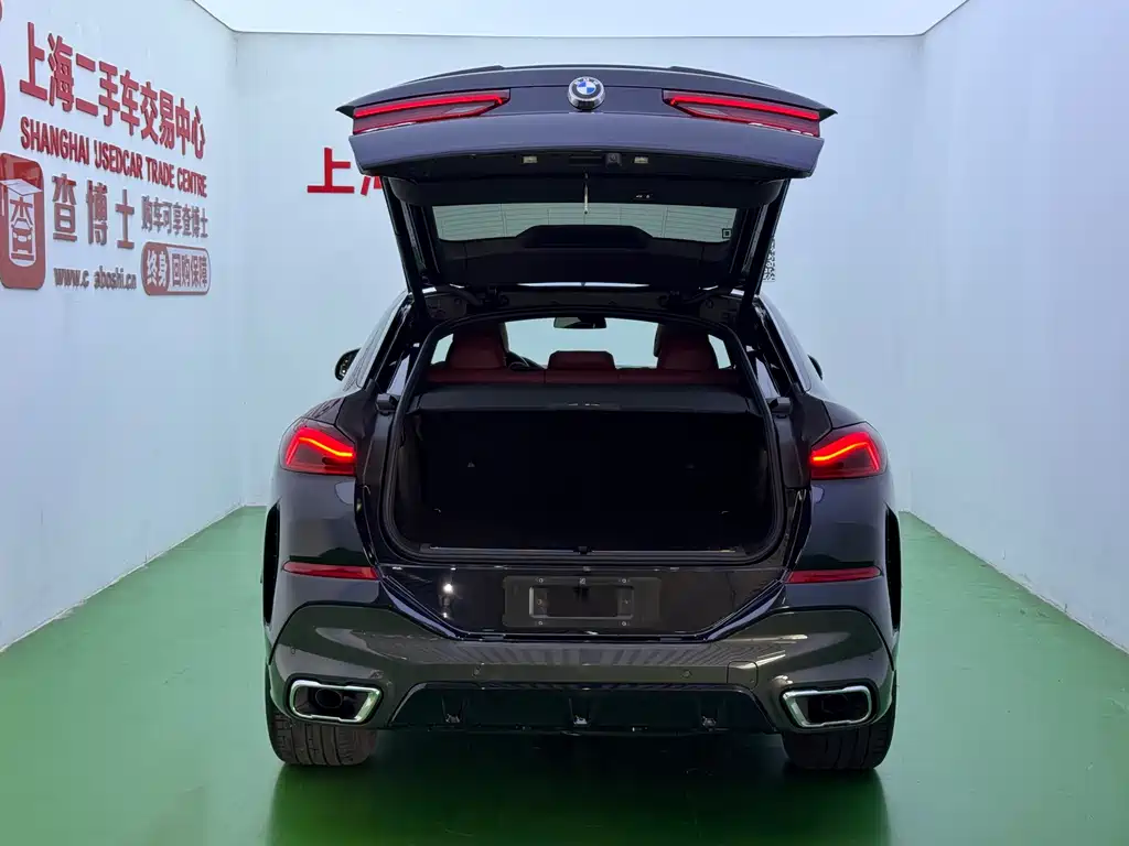 BMW X6 — миниатюра 34