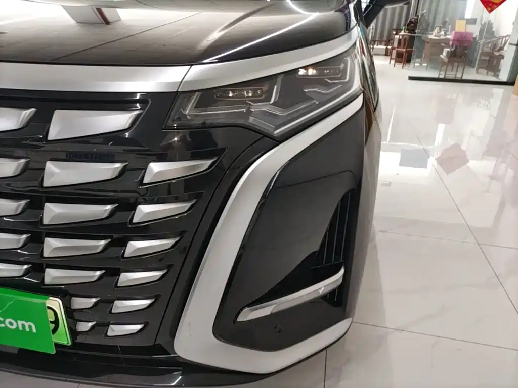 Denza Denza D9 — миниатюра 24
