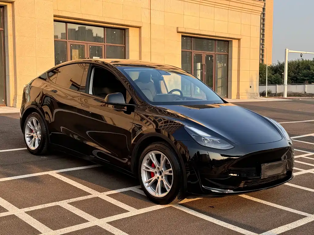 Tesla Model Y — миниатюра 3