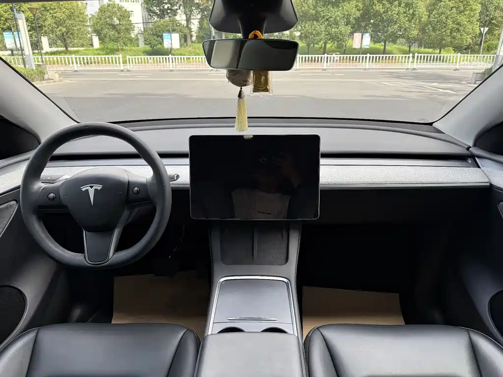 Tesla Model Y — миниатюра 10