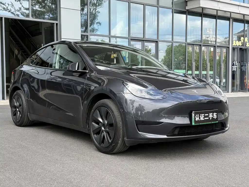 Tesla Model Y — миниатюра 3