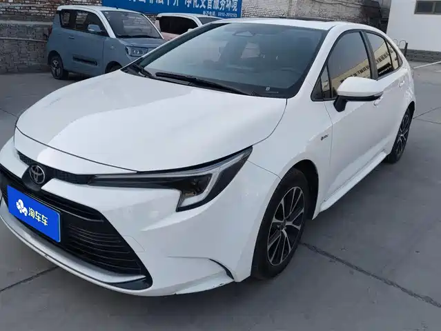 TOYOTA LEI LING 2024