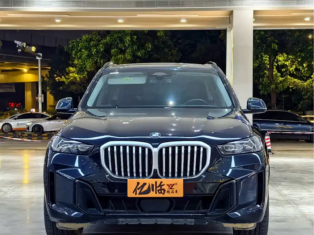 BMW X5 — миниатюра 2