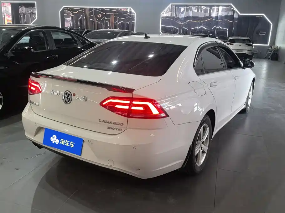 Volkswagen Lamando — миниатюра 3