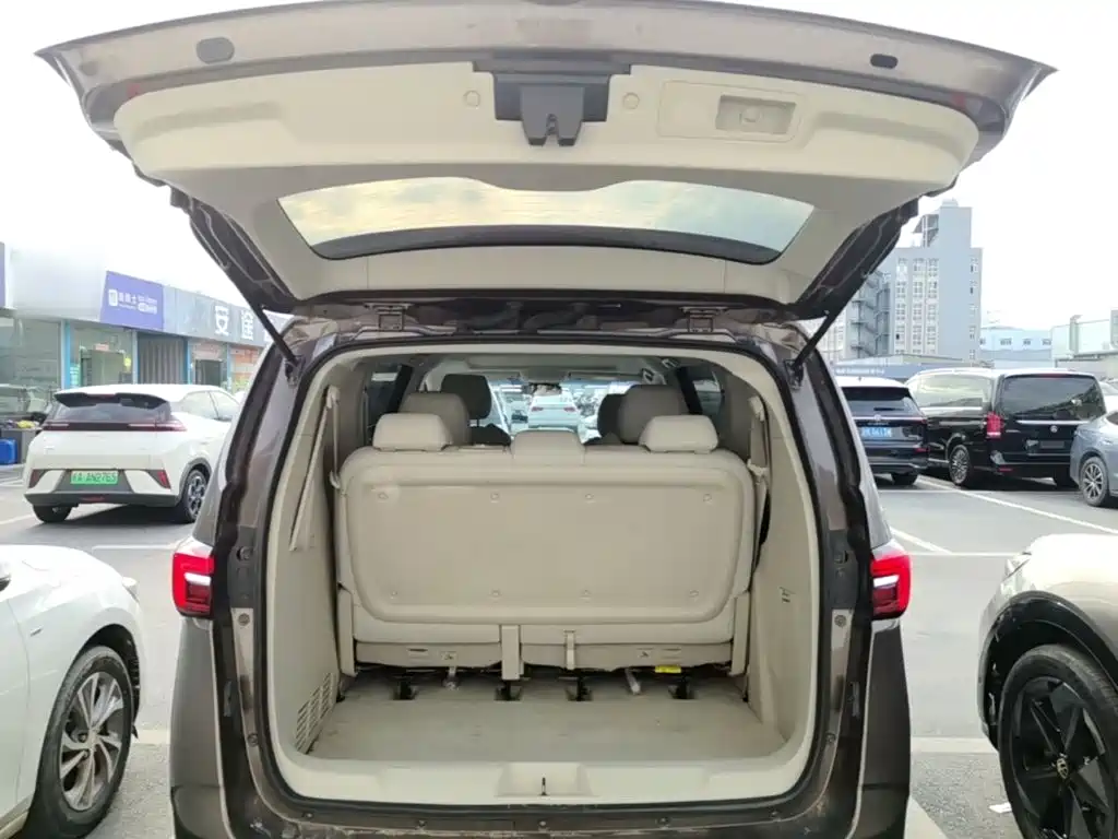 Buick GL8 — миниатюра 19