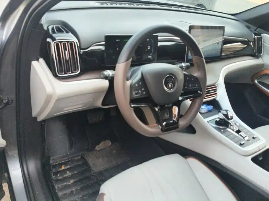 BYD Pro New Energy — миниатюра 12
