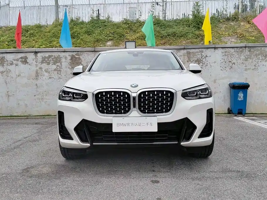 BMW X4 — миниатюра 2
