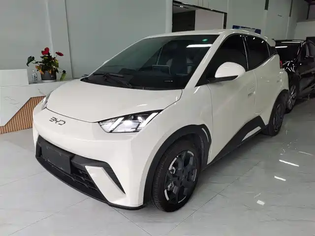 2025 BYD Seagull