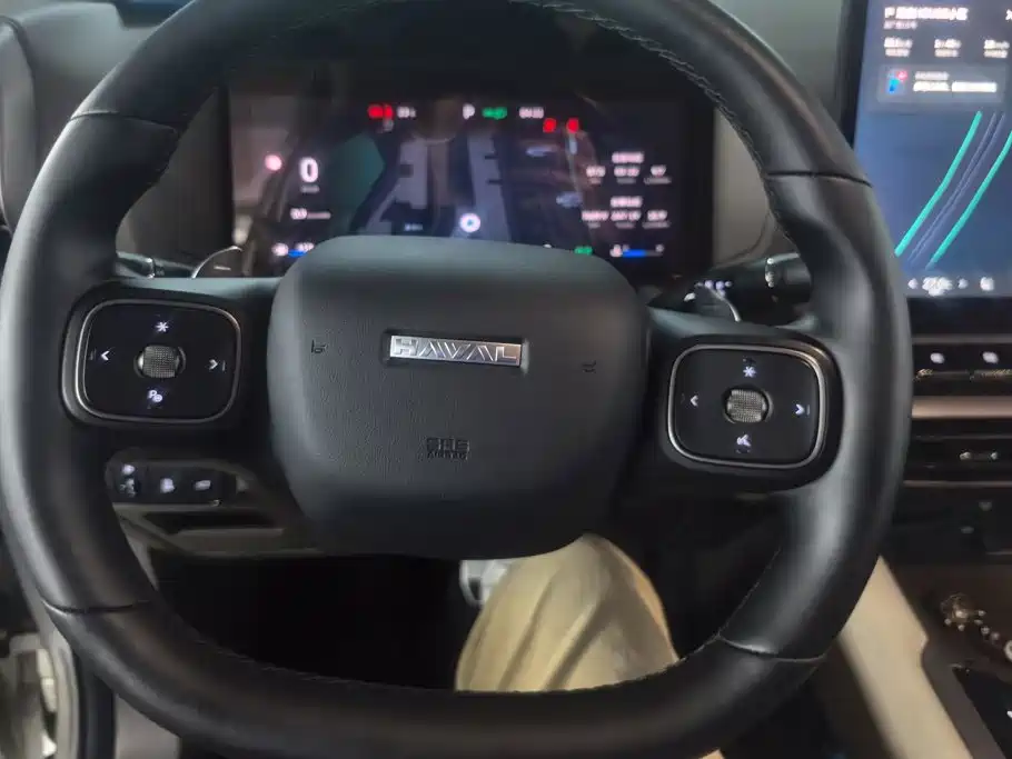 Haval Big Dog PLUS — миниатюра 15