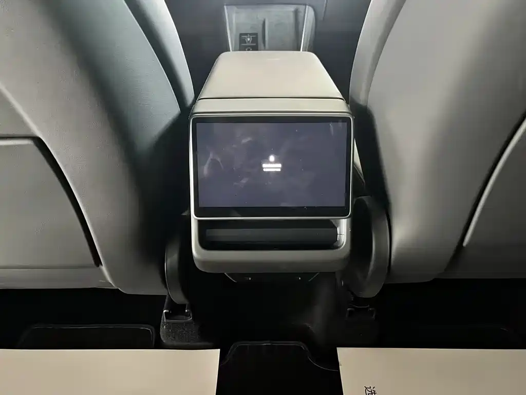 Tesla Model Y — миниатюра 17