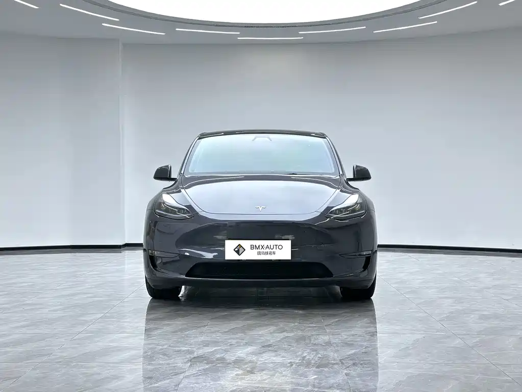 Tesla Model Y 2022 Performance